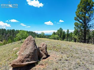 404 Morning Star Creek Trl, Florissant, CO 80816