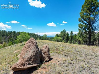 404 Morning Star Creek Trl, Florissant, CO, 80816