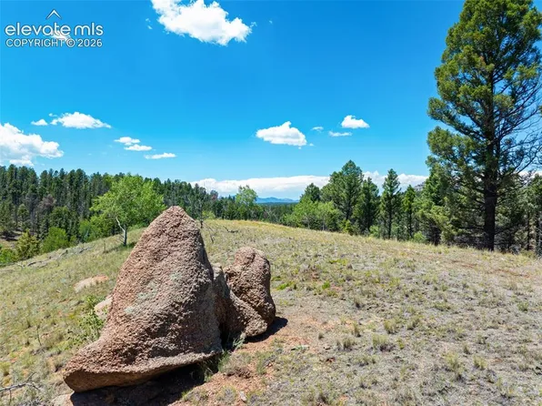 404 Morning Star Creek Trl, Florissant, CO 80816