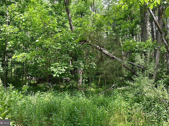 3rd image of Two Lots On Siler Rd