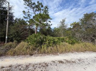 1305 N Roberts Rd, Avon Park, FL 33825