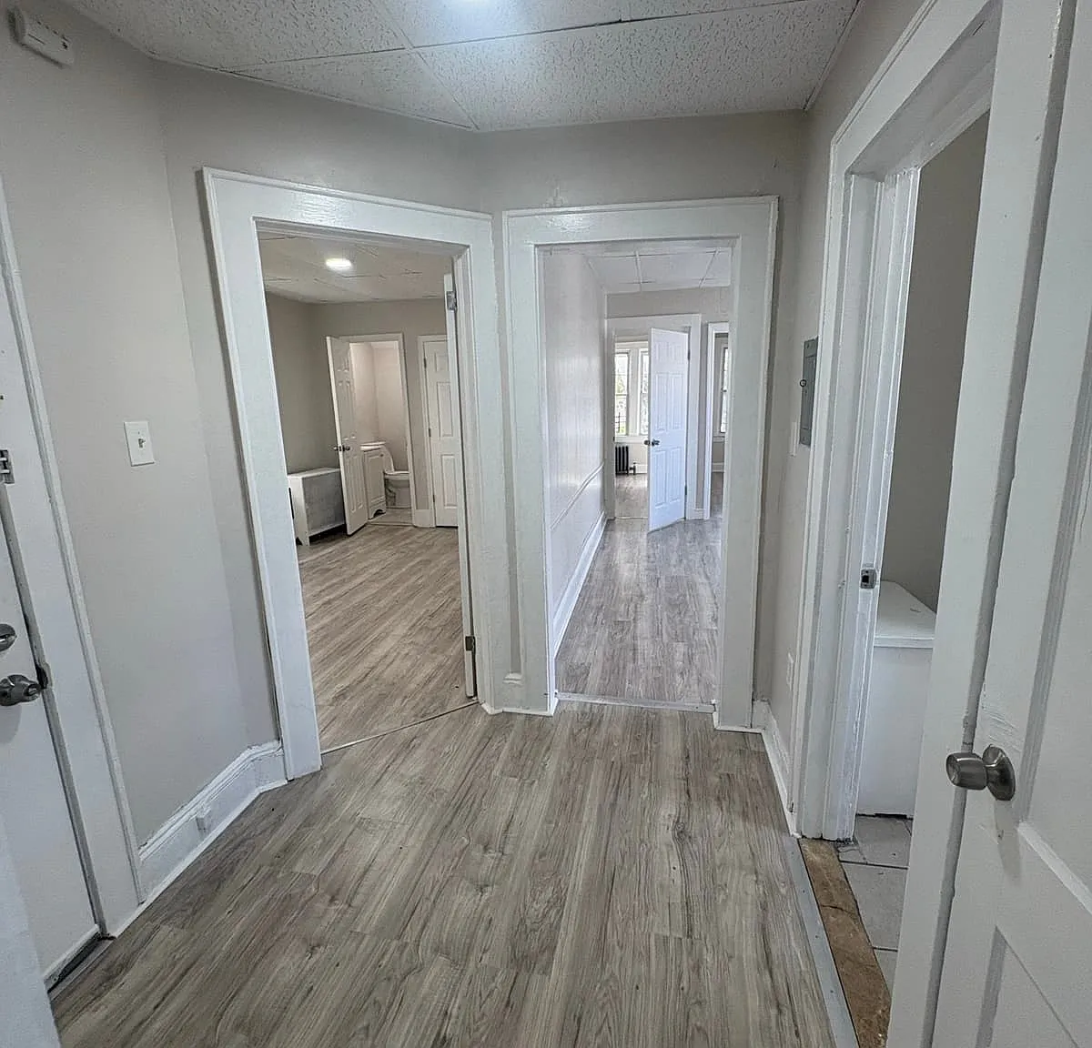 3 bed, 1.5 bath, 1000 sqft, $2,400 — Photo 3