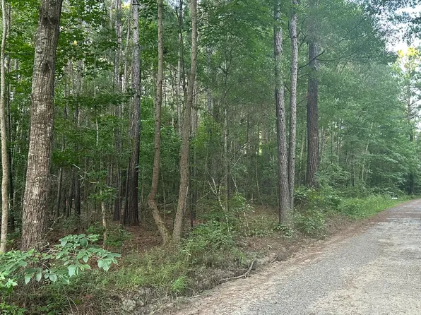 0 Pearl Acres Ln, Huger, SC 29450