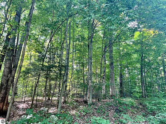 4th image of LOT 67 W Village Dr