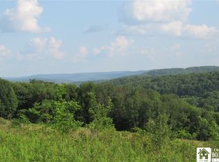 0 Morgan Hollow Rd #2, Hinsdale, NY 14743