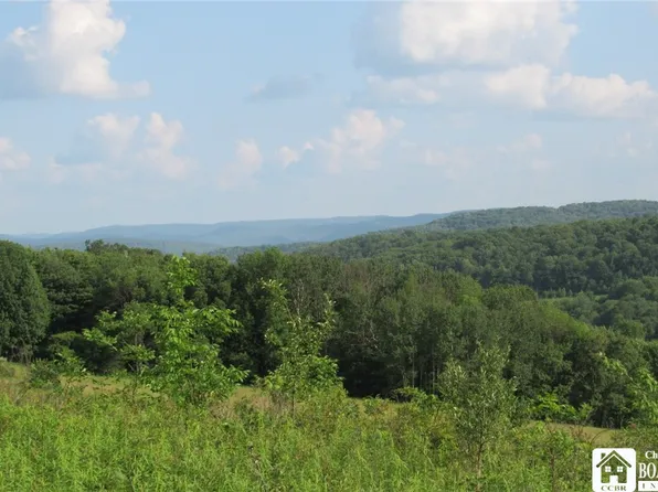 0 Morgan Hollow Rd #2, Hinsdale, NY 14743