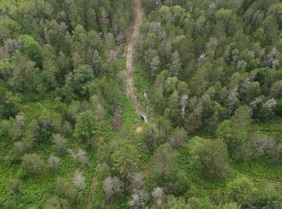 6555 Gaberdiel Trl, Grayling, MI 49738