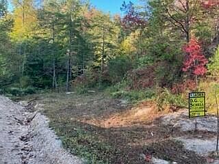 2nd image of 1003 Wilber Rd