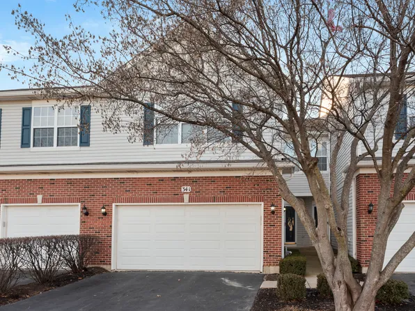 341 Grape Vine Trl, Oswego, IL 60543