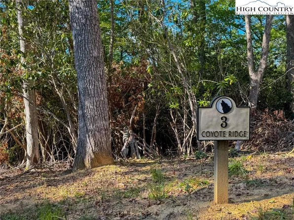 Lot R3 Coyote Trail, Boone, NC 28607