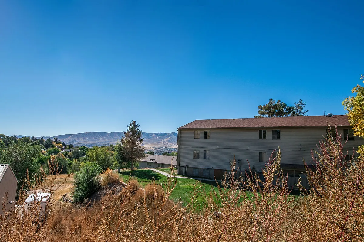 Building Photo - The Grove Apartments