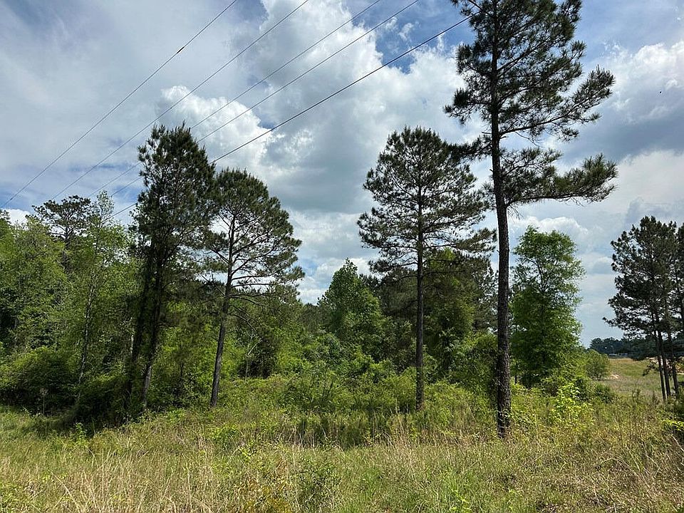 2nd image of 0 Rastus Riels Rd