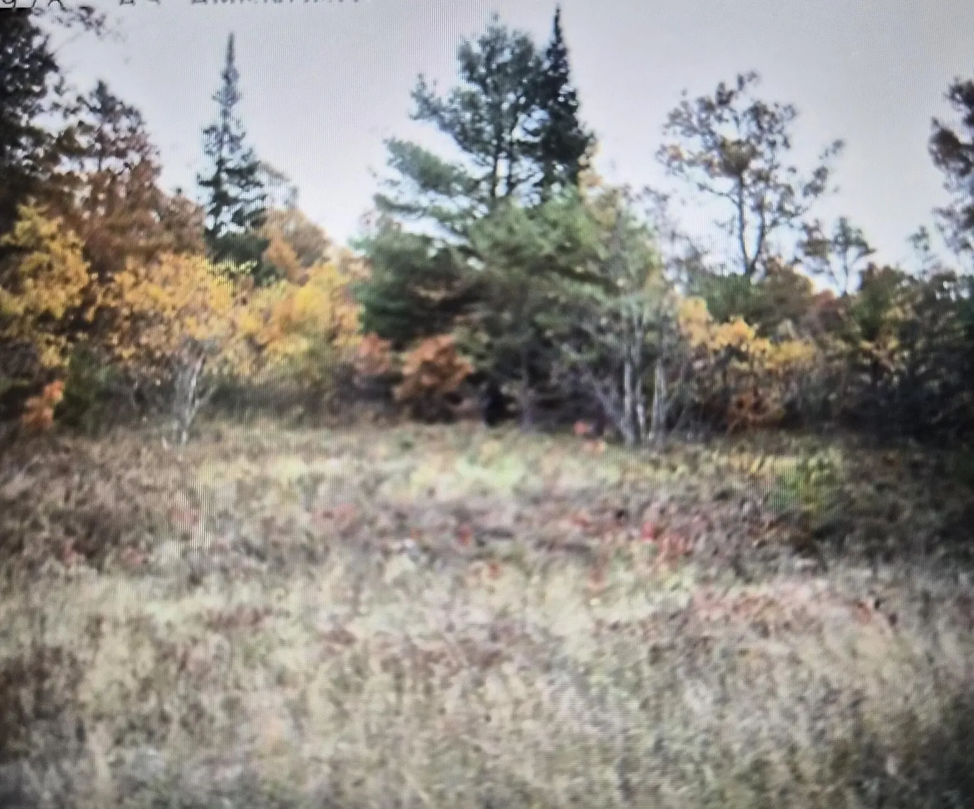 LOT 19 Northwood Dr photo 1