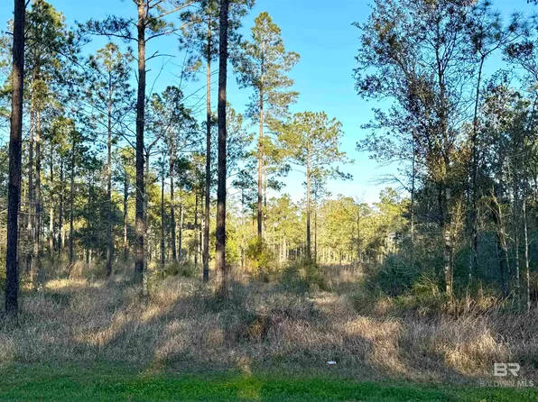 16690 Cc Rd, Elberta, AL 36530