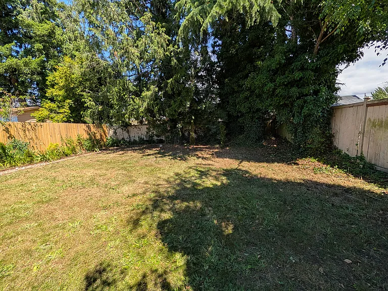 View of the back yard