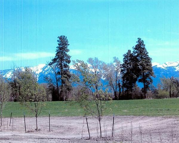 2nd image of 4 River Rd