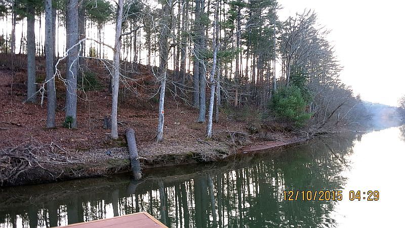 Lot 66 Shoreline
