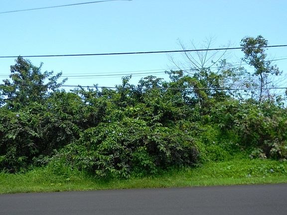 2nd image of Opakapaka St Lot 7