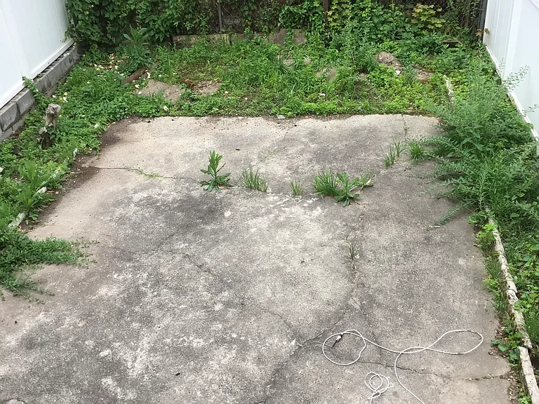 151 Hemlock St #2 — Photo 8