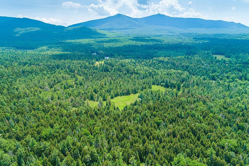 X Black Brook Rd (AKA 375 PLANK RD), Franklin, NY 12913 Zillow