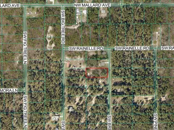 0 SW Breezy Point Dr #3, Dunnellon, FL 34431