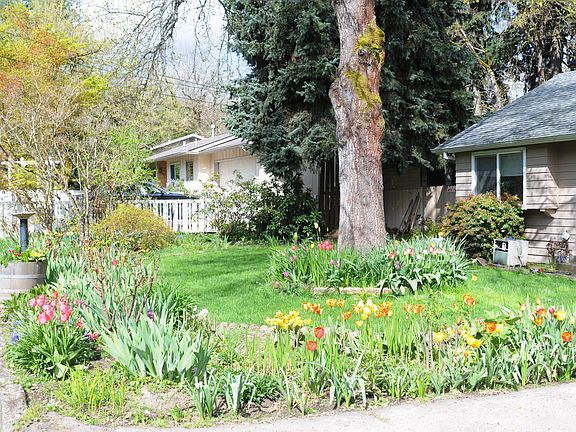 Front yard
