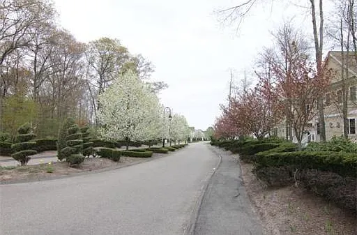 Quiet neighborhood for leisurely strolls