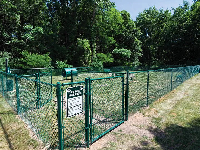 Fenced in Dog Park