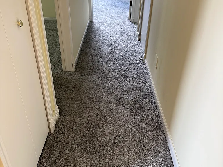 31577 Fraser Dr #2 — Photo 16