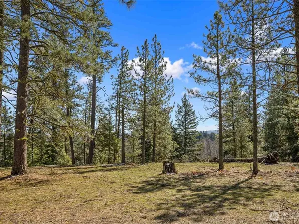 38 Wanawish Loop, Cle Elum, WA 98922