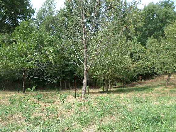 5th image of 1621 Township Road 88