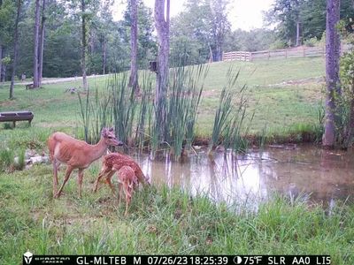 295 Falls Creek Way, Somerset, KY, 42503