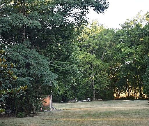 Back yard