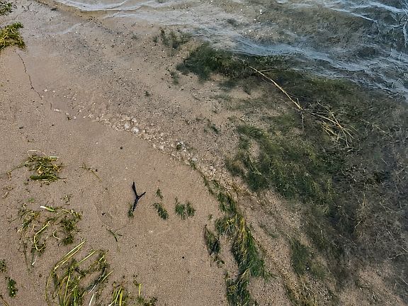 3rd image of Pine Beach Peninsula Rd
