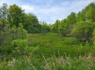 1052 E Clock Rd, Hart, MI 49420