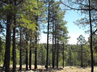 747 Ceremony Ln, Happy Jack, AZ 86024