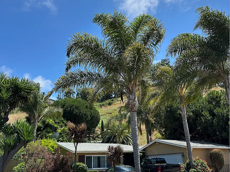 3234 Roberta Ln — Photo 16