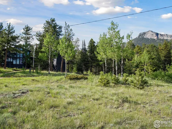 255 Bill Waite Rd, Allenspark, CO 80510