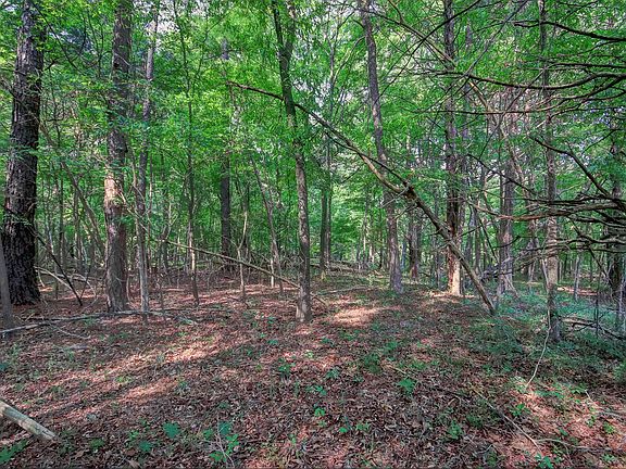 4th image of 0 Rumley Rd Lot 1-B