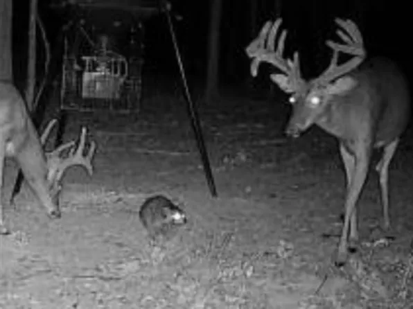 0 Mud River Mine Rd, Dunmor, KY 42339