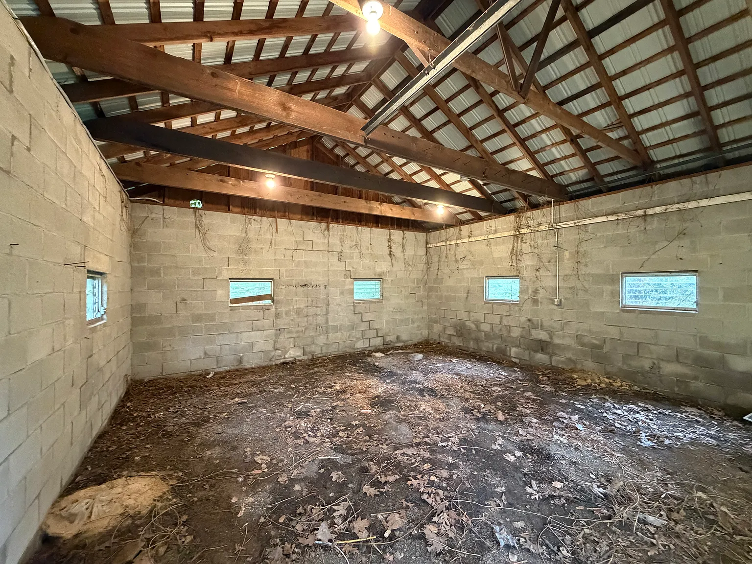 Studio, 424 sqft, $300 — Photo 3