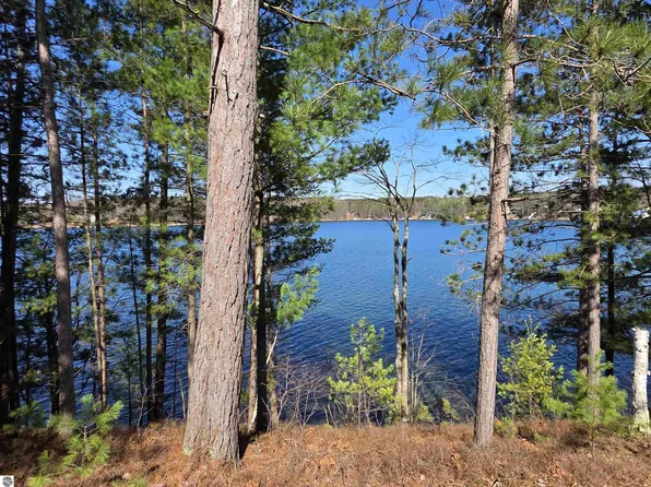 9251 Gedman Rd NE, Mancelona, MI 49659