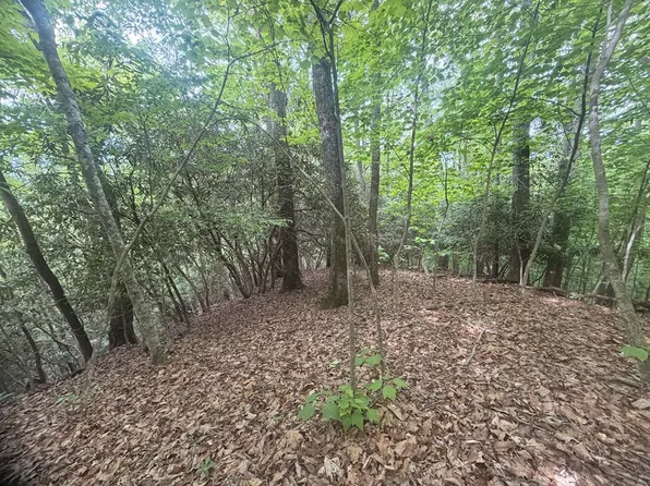 Tellico Rd, Franklin, NC 28734