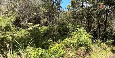 1st image of Road 12 Lot 768