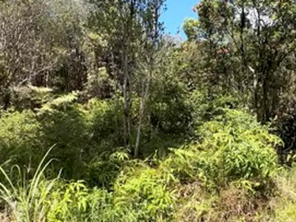 Road 12 Lot 768, Mountain View, HI 96771
