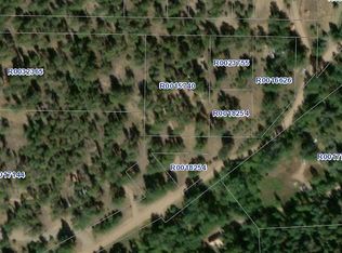 221 Insmont Rd, Bailey, CO 80421