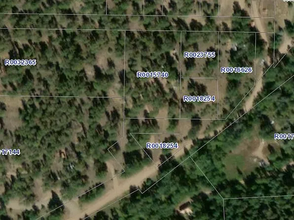 221 Insmont Rd, Bailey, CO 80421