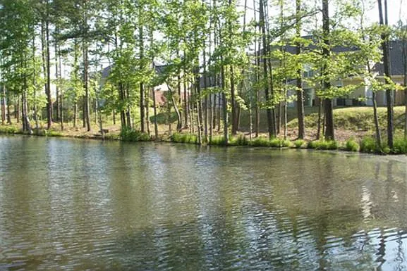 Taylor's Pond — Photo 2