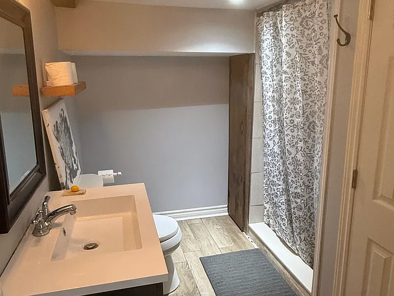 54 Delemere Ave #LOWER LEVEL — Photo 6