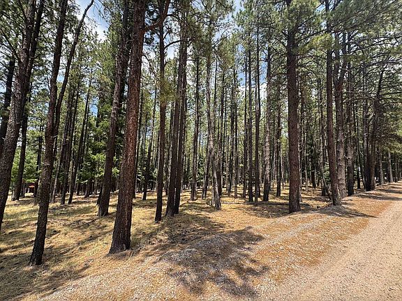 2nd image of Lot 880 Calle de las Palomas